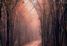 3377体育官网：2025中国太平中国足协女超联赛：球市火爆、竞争升级助亚冠取突破.