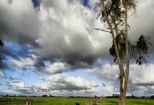 波耶特：三笘薰的实力足以为曼联效力，我非常喜欢看他踢球.