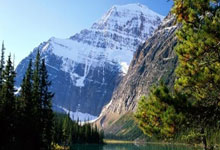 3377体育官网：英超：阿申纳大胜卫冕冠军曼彻斯特市队.